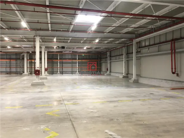 Spațiu industrial Chiajna - poza 6