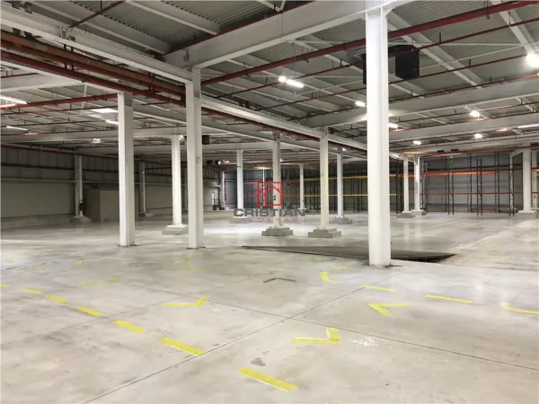Spațiu industrial Chiajna - poza 7