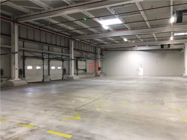 Spațiu industrial Chiajna - poza 8