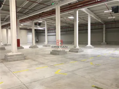 Spațiu industrial Chiajna - poza 9
