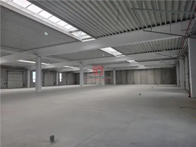 Vanzare depozit/spatiu industrial/hala Chitila - Rudeni, ILFOV - Chitila