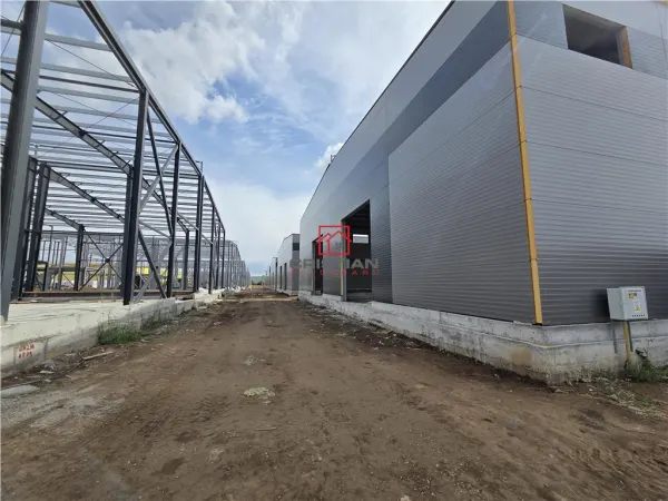 Spațiu industrial Chitila - poza 2