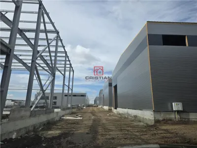 Spațiu industrial Chitila - poza 3