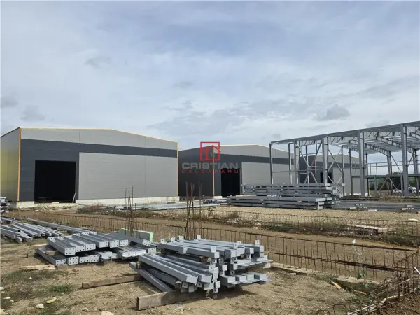Spațiu industrial Chitila - poza 10
