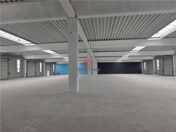Spațiu industrial Chitila - poza 5