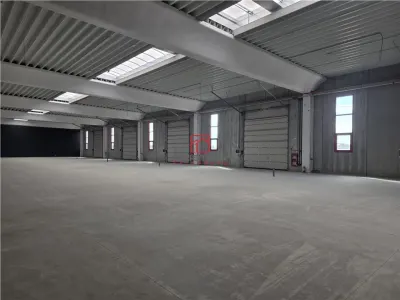 Spațiu industrial Chitila - poza 9