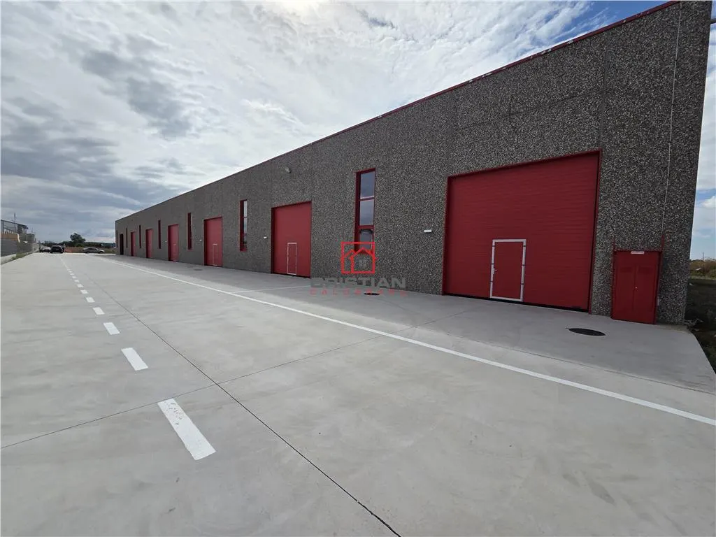 Spațiu industrial Chitila - poza 1