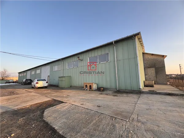 Spațiu industrial Chiajna - poza 1