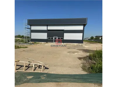 Spațiu industrial Chiajna - poza 3