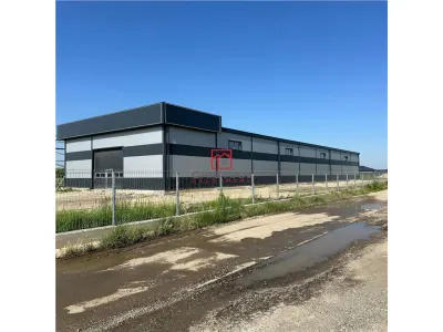 Spațiu industrial Chiajna - poza 1