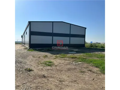 Spațiu industrial Chiajna - poza 3