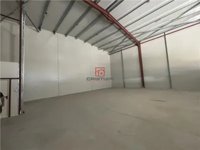 Spațiu industrial București - poza 8