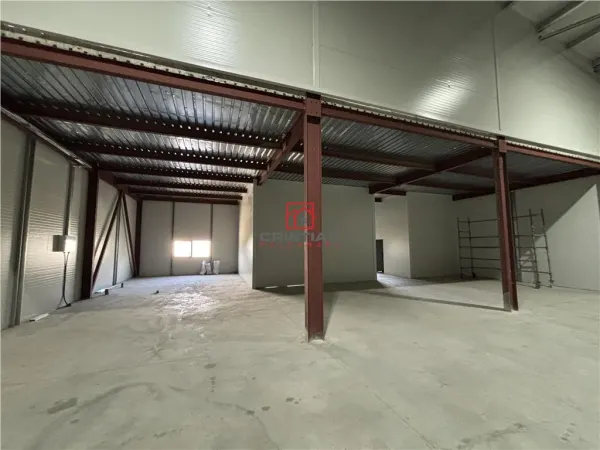 Spațiu industrial București - poza 10