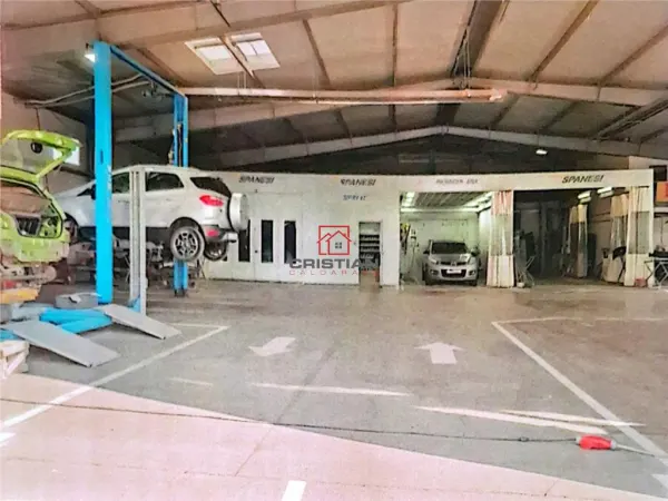 Spațiu industrial Domnești - poza 5