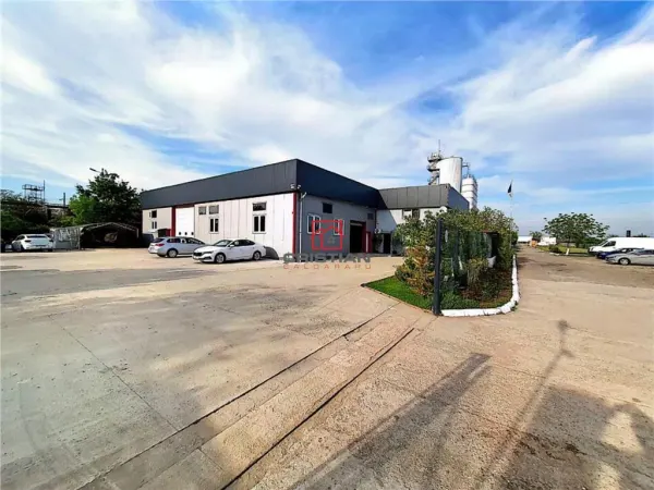 Spațiu industrial Domnești - poza 6