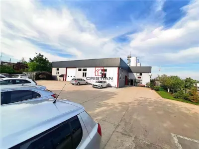 Spațiu industrial Domnești - poza 8