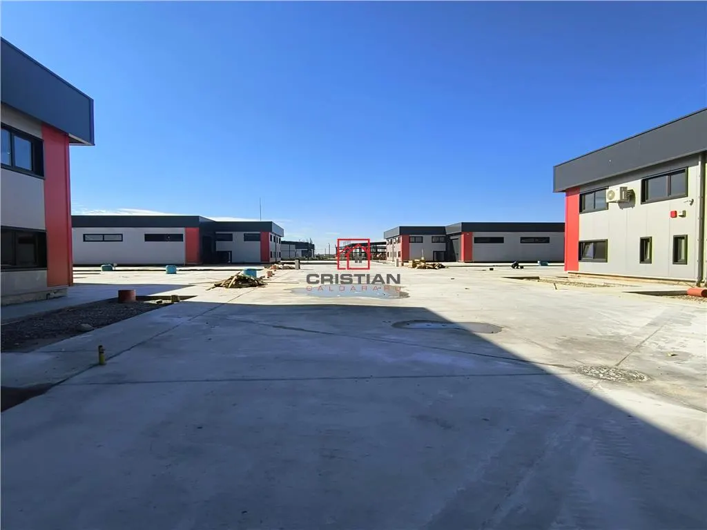 Spațiu industrial Domnești - poza 1