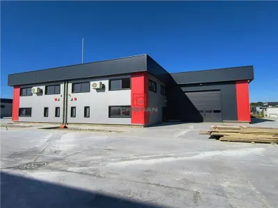 Spațiu industrial Domnești - poza 2