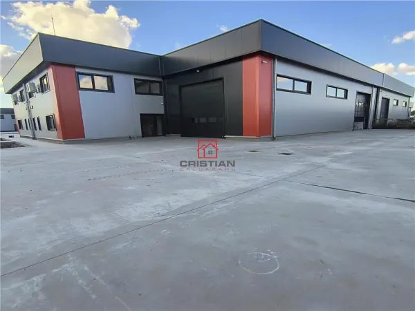 Spațiu industrial Domnești - poza 3