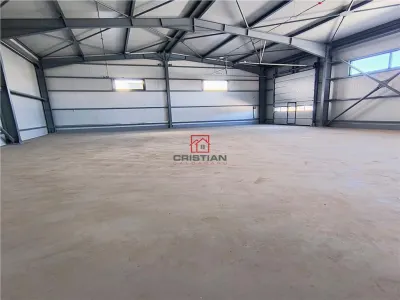 Spațiu industrial Domnești - poza 5