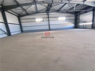 Spațiu industrial Domnești - poza 6