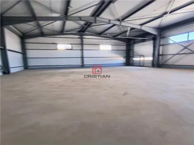 Spațiu industrial Domnești - poza 7
