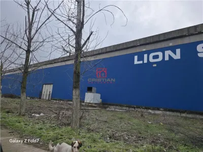 Spațiu industrial Giurgiu - poza 6