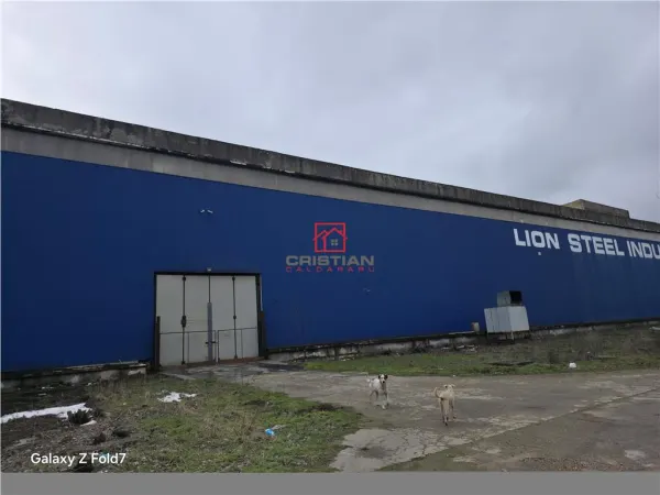 Spațiu industrial Giurgiu - poza 10