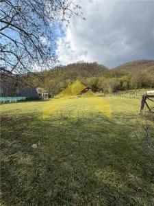 Casă 6 camere Sfanta Elena - poza 12