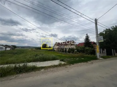 Teren Lilieci - poza 4