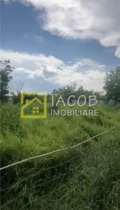 Teren Bacău - poza 3