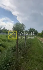 Teren Bacău - poza 5