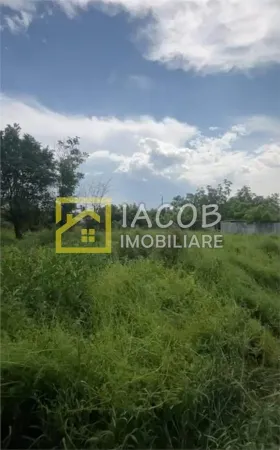 Teren Bacău - poza 8
