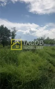 Teren Bacău - poza 8