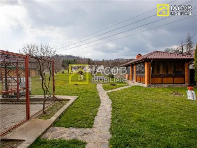 Casă 4 camere Comanesti - poza 9