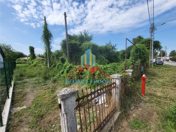Casă 2 camere Crivina - poza 3