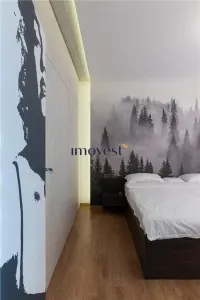 Apartament 3 camere Satu Mare - poza 12