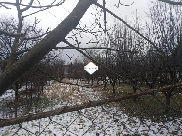 Teren Satu Mare - poza 2
