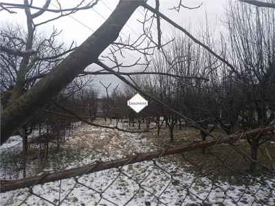 Teren Satu Mare - poza 2