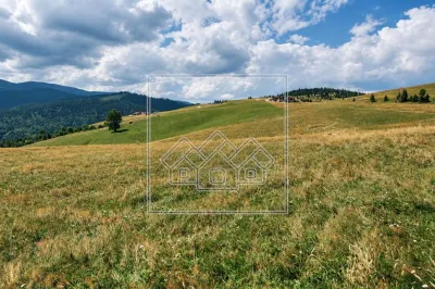 Teren intravilan constructii - 3000 mp - Paltinis - Sibiu