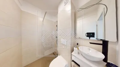 Apartament 5 camere Cristian - poza 11