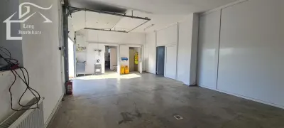 Spațiu industrial Livada - poza 3
