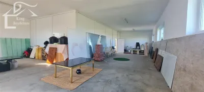 Spațiu industrial Livada - poza 5