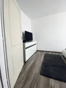 Apartament 2 camere Timișoara - poza 8