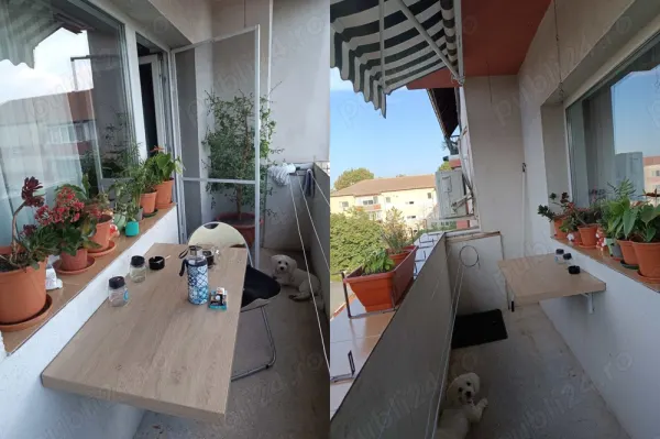 Apartament 3 camere Timișoara - poza 5
