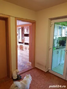 Apartament 4 camere Timișoara - poza 15