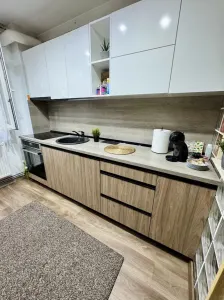 Apartament 2 camere Timișoara - poza 1