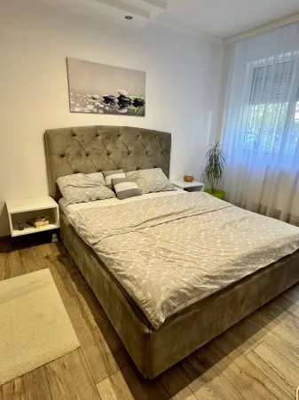 Apartament 2 camere Timișoara - poza 3