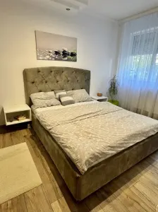 Apartament 2 camere Timișoara - poza 3