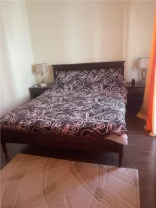 Apartament 3 camere Timișoara - poza 3